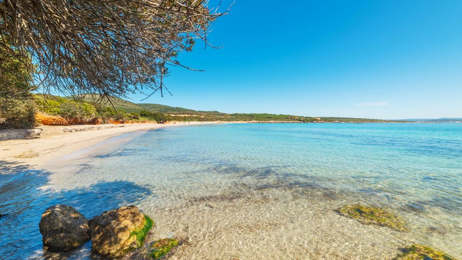 Appartement Coral House With Shared Pool And Sea View à Alghero Italie